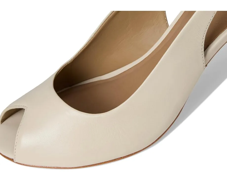 Bernardo Adell Eggshell