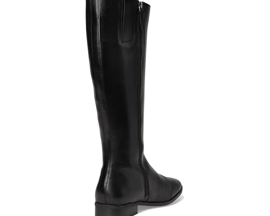 Women Trotters Alexis