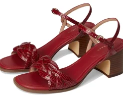 Women Cole Haan Ambrose Braid Sandal