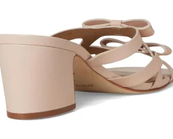 Bernardo Burgo Blush Discount