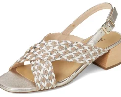 Vaneli Cadmus Shell Mercury Combo Discount