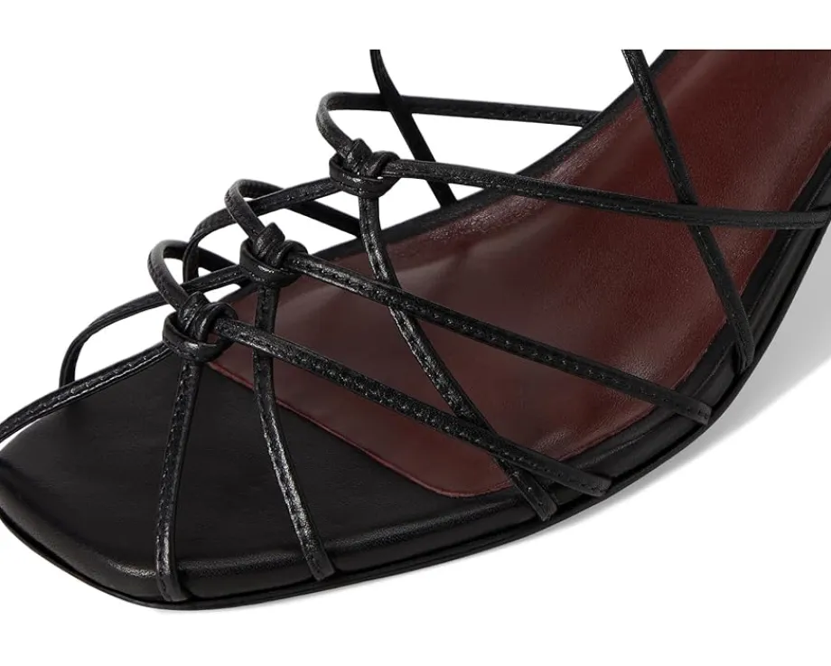 Women Bernardo Catrina