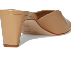 Bernardo Cenza Dune Clearance