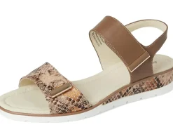 Women David Tate Civic