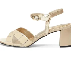 David Tate Cocktail Champagne Outlet