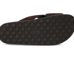 Sam Edelman Darla Cafe Noir New