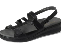 Women David Tate Femme