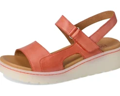 Born Kit Orange Outlet