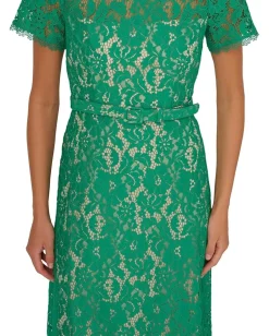 Women Adrianna Papell Lace Soft Skirt Midi Dress