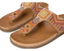 Women Blowfish Malibu Lyric