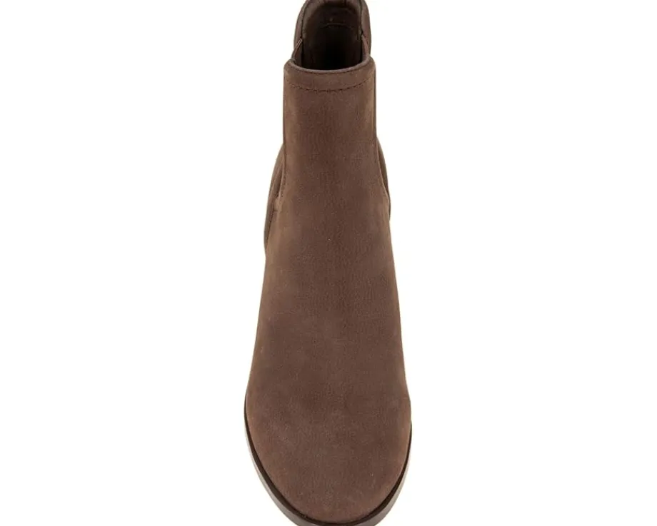 Splendid Maisie Chocolate New