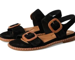 Sofft Napa Black Online