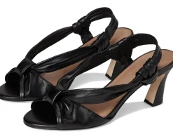 Bernardo Novah Black Discount