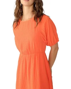 Sanctuary Open Back Playdress Blood Orange New