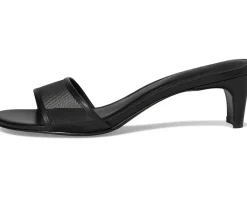 Women Steve Madden Patsy