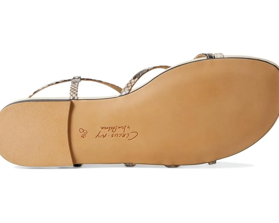 Women Circus NY by Sam Edelman Rebecca