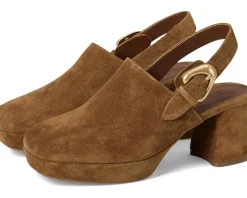 Women Aerosoles Shayla