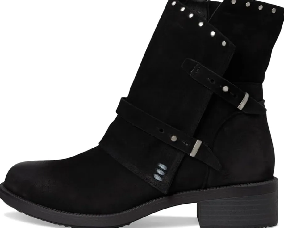 David Tate Spectacular Black New