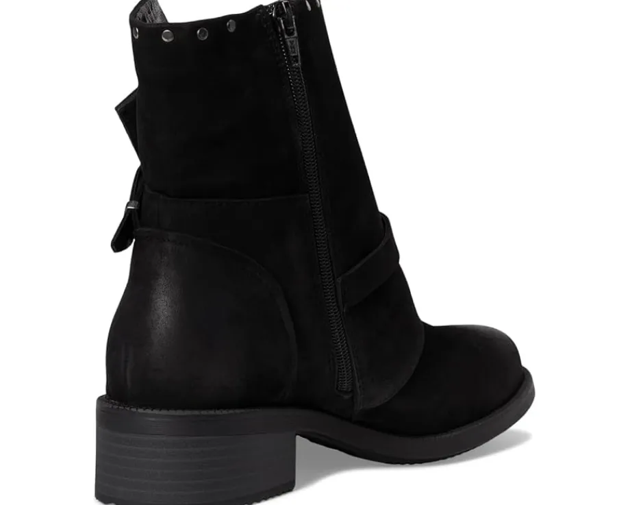 David Tate Spectacular Black New