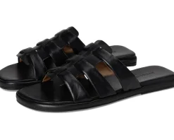 Women Bernardo Tamer