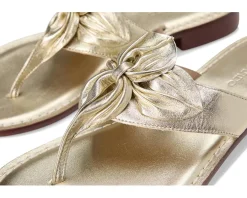 Women Bernardo Taormina