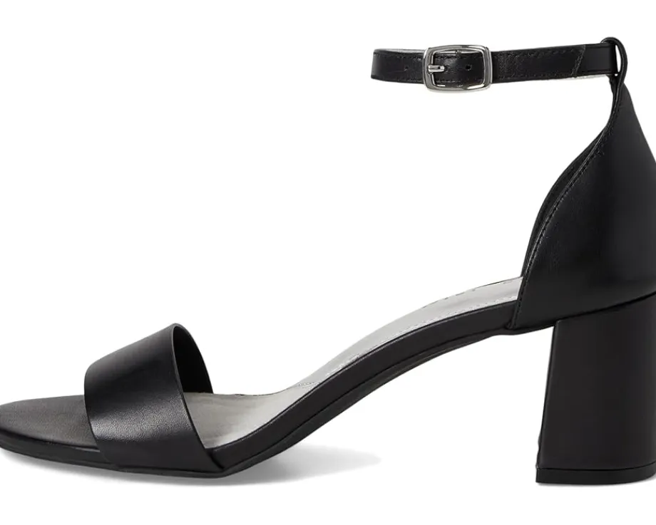 David Tate Timeless Black Clearance