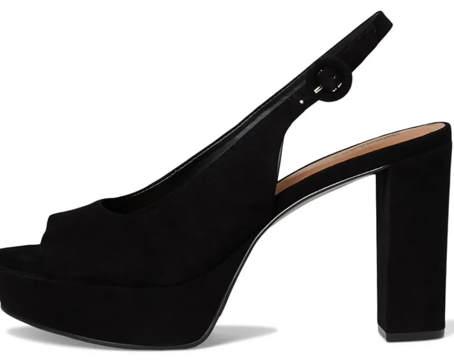 Bernardo Vega Black Sale