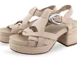 Aerosoles Women's Chatham Hot