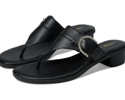 Anne Klein Women's Thessy Best