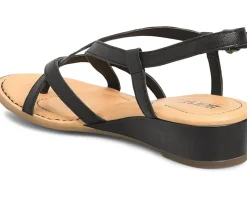 Women Born Women's Sibyl