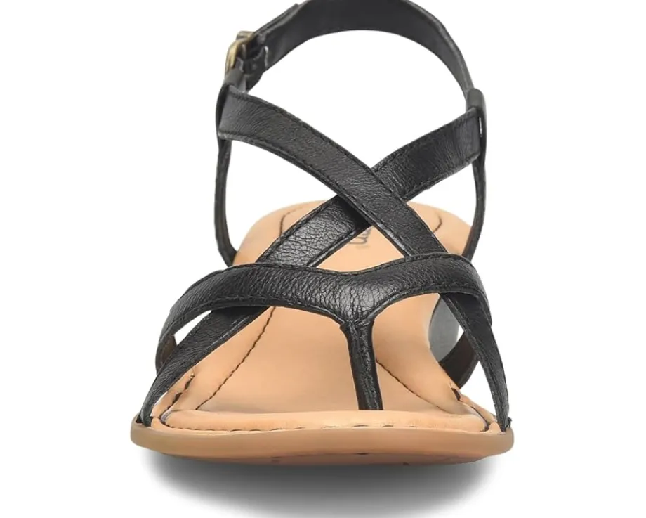 Women Born Women's Sibyl