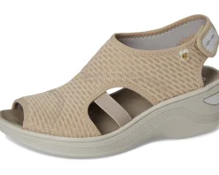 Women Bzees Women's Dream