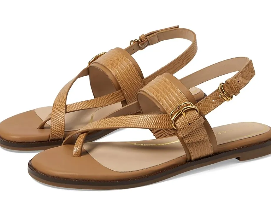 Women Cole Haan Women's Anica Lux Buckle Sandals