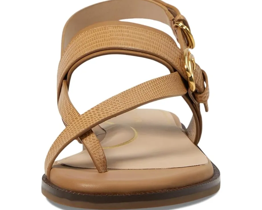 Women Cole Haan Women's Anica Lux Buckle Sandals