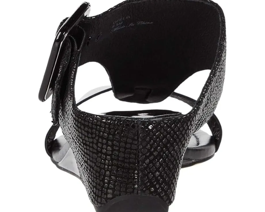 Women Donald Pliner Women's Ofelia