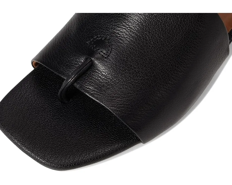 Women Franco Sarto Women's Loran