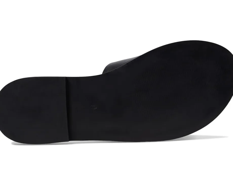 Seychelles Women's Orchid Online