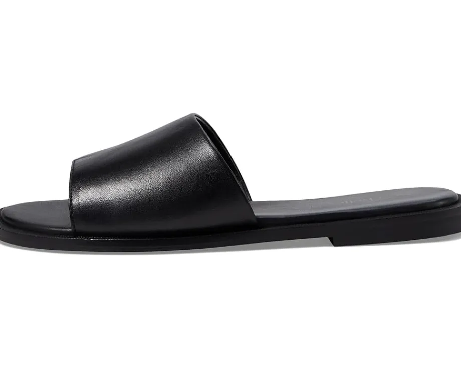 Seychelles Women's Orchid Online