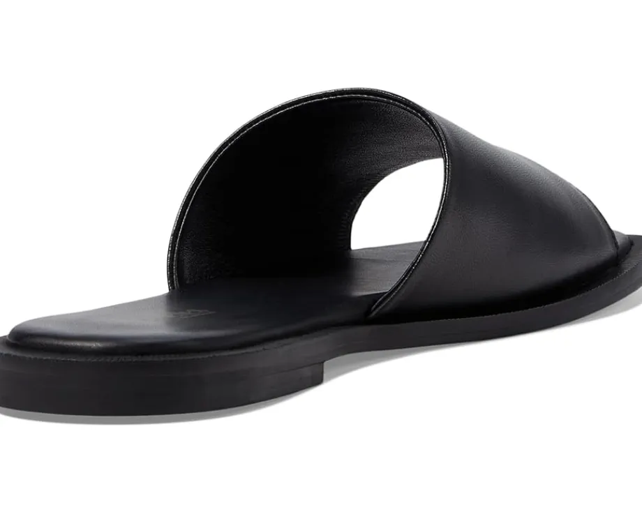 Seychelles Women's Orchid Online