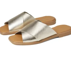 Seychelles Women's Upper Echelon