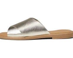 Seychelles Women's Upper Echelon