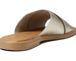 Seychelles Women's Upper Echelon