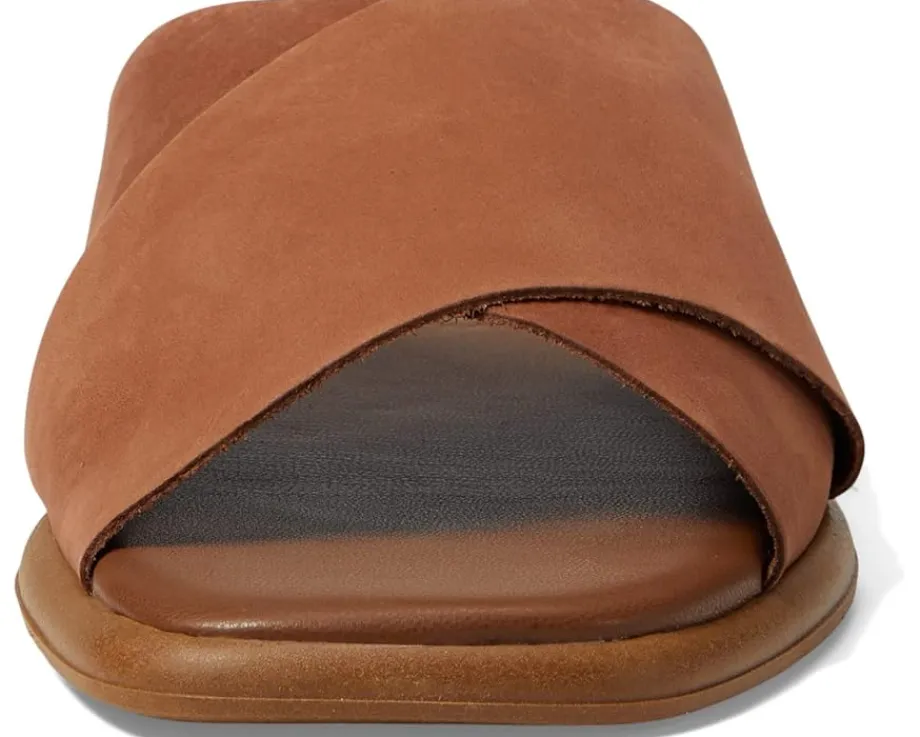 Women Seychelles Women's Upper Echelon