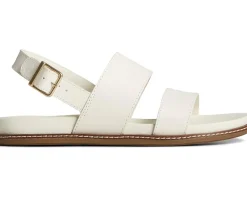 Sperry Women's Waveside Plushwave Backstrap