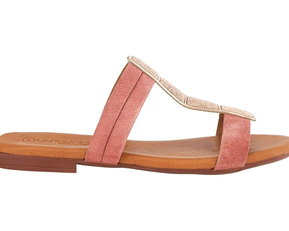 Women Unity in Diversity Women's Acertijo