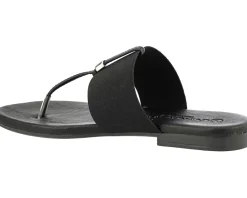 Women Unity in Diversity Women's Endless Summer